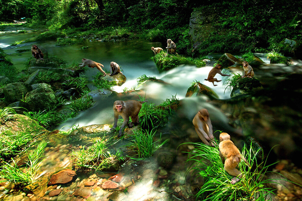 文明村镇创建巡礼,全国文明村镇创建巡礼视频