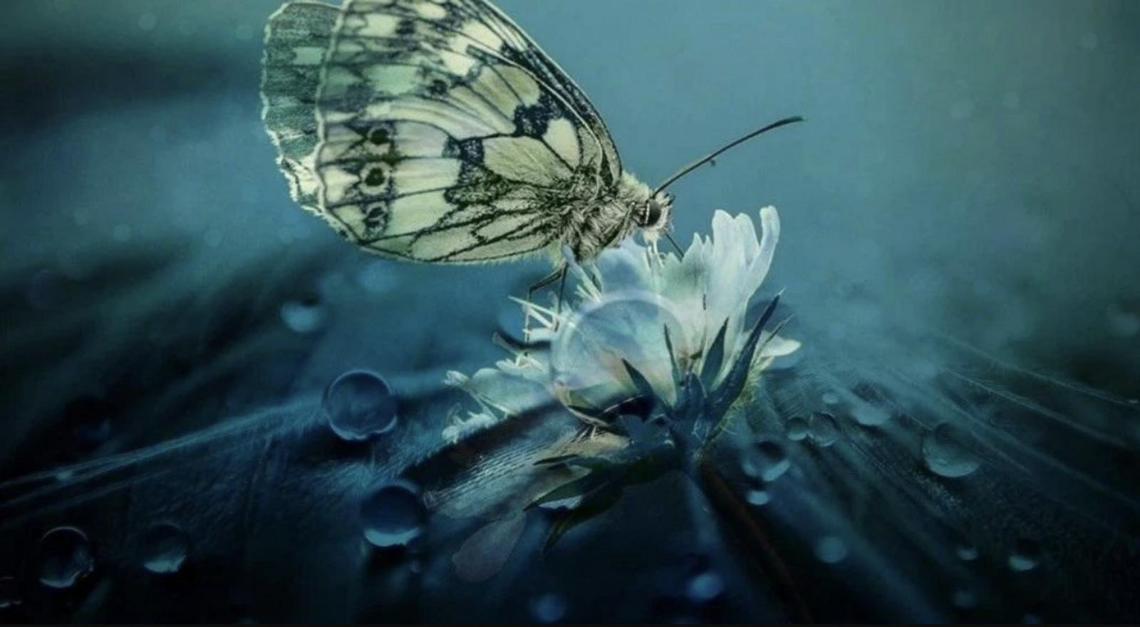 86款版号发放：腾讯网易缺席，朝夕光年灵犀沐瞳在列