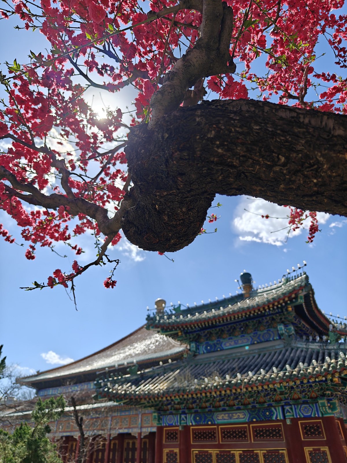 oppofindx6pro,oppofindx6pro和findx6区别