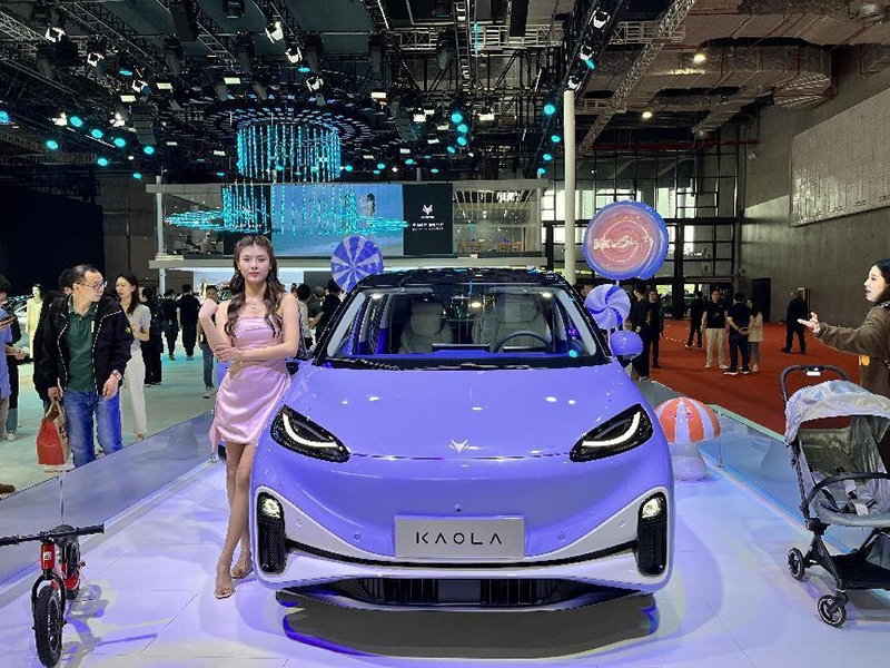 国货之光闪耀车展,上海车展国产之光