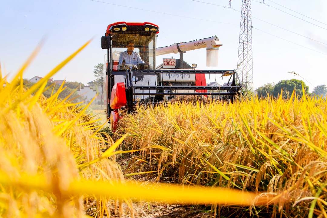 姹熻嫃鍗椾含鍦板熀鍩虹鍔犲浐,鍗椾含鍦板熀寮哄く鏈烘