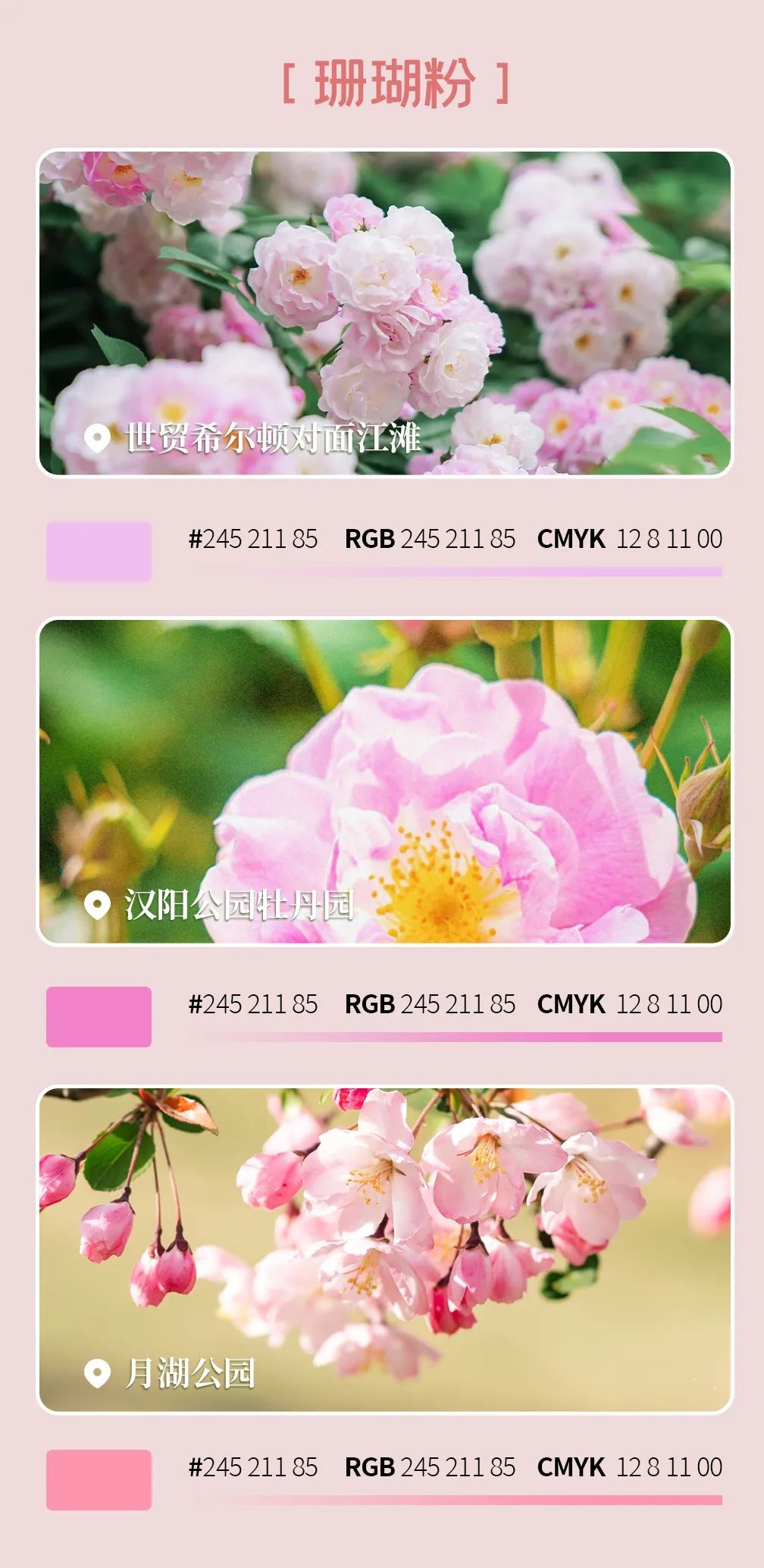 武汉旅游值得带的东西,武汉汉阳两日游最佳攻略