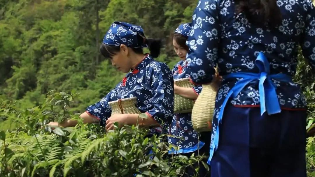 武汉市的后花园,打造武汉后花园