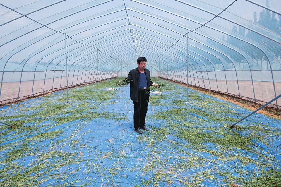 养泥鳅走上致富路,不少人依靠养殖泥鳅走上致富之路