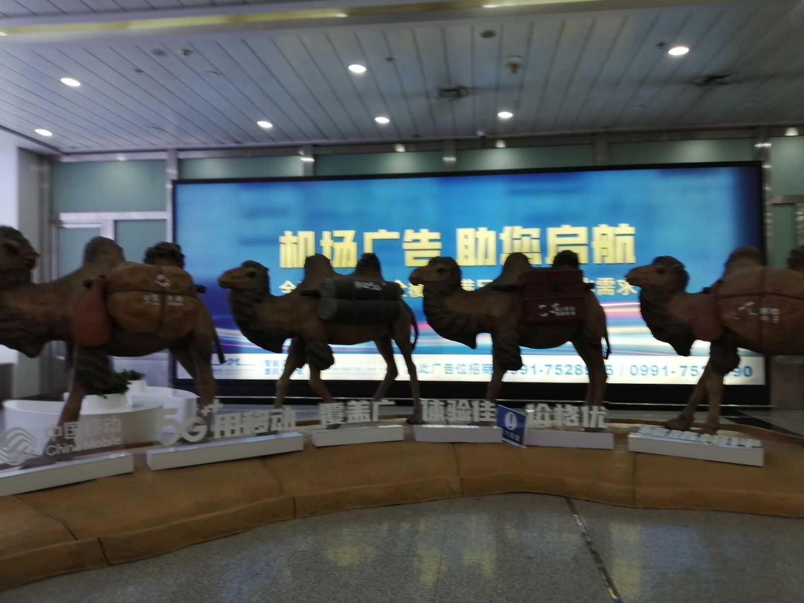 进疆旅游最新通知,进疆旅游的最新通知