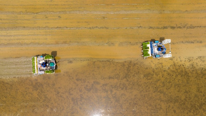 吴重庆:为什么龙头企业不愿直接雇用农业工人?