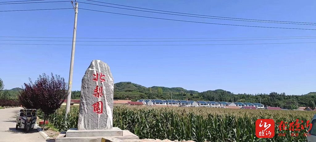 e视野眼镜店,e视野