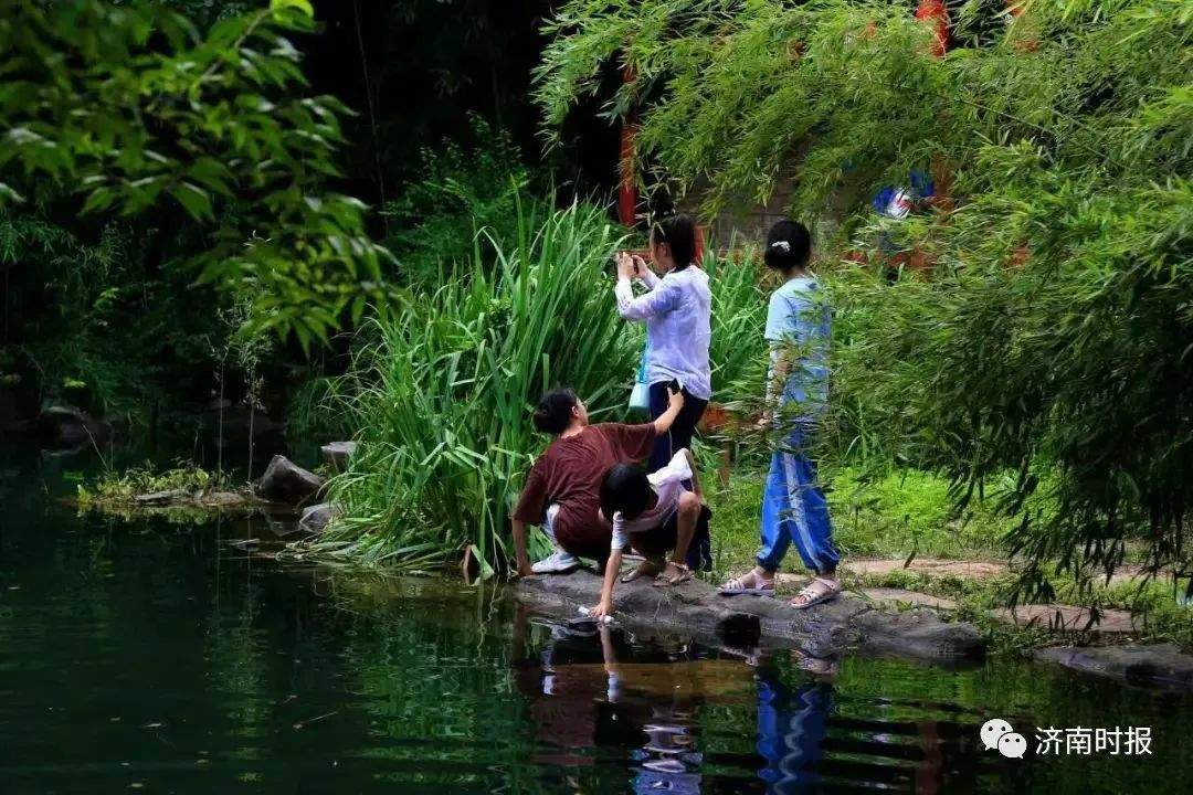 济南动物园门票半价吗,济南千佛山门票半价吗