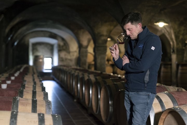 爱情、橡树和摇篮的故事，尽在酒中——探访斯洛文尼亚克莱特克尔什科酒窖