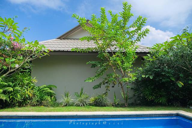 斐济南太平洋之旅,斐济之行游记