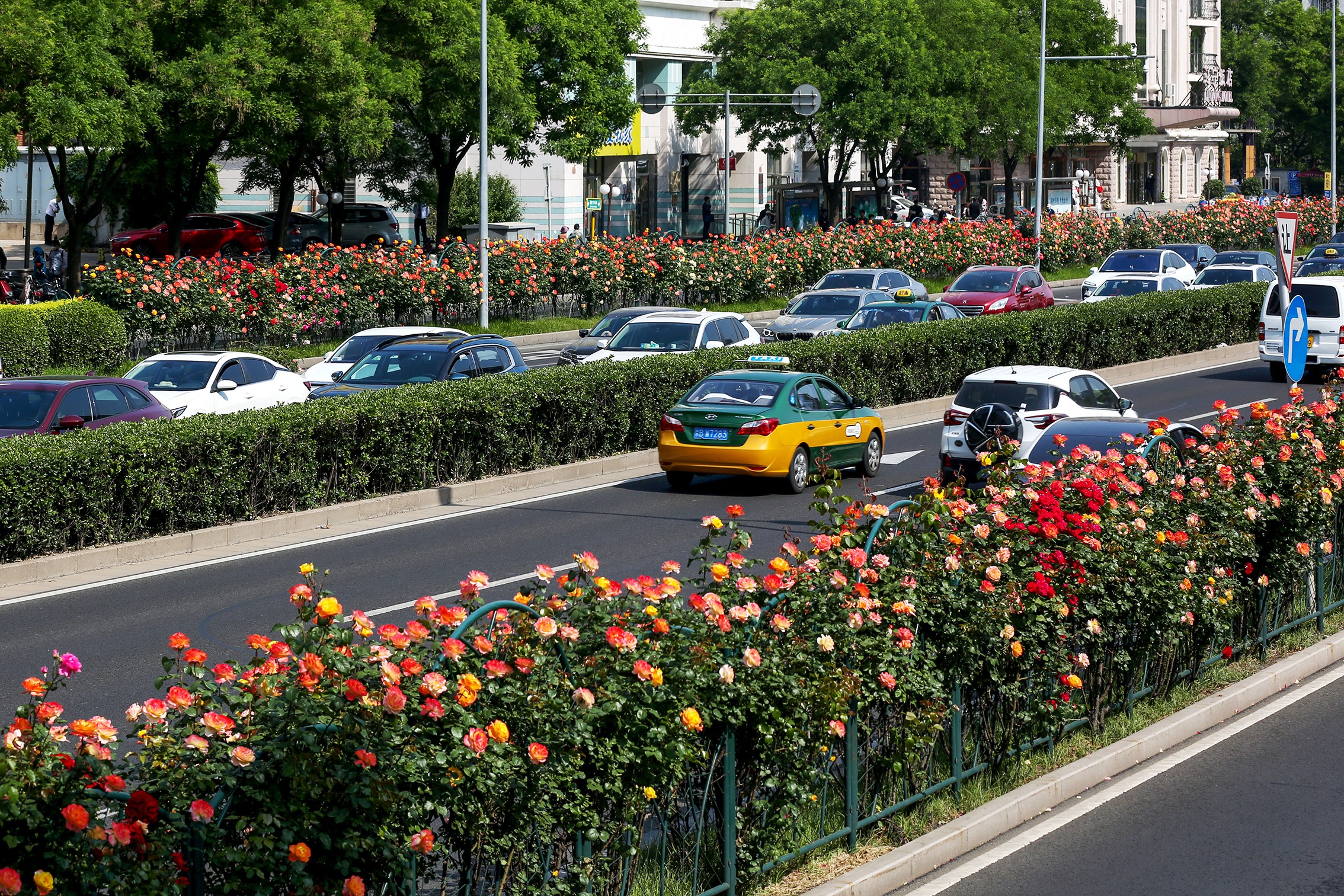 现在哪有地方赏花,北京现在有赏花的地方吗