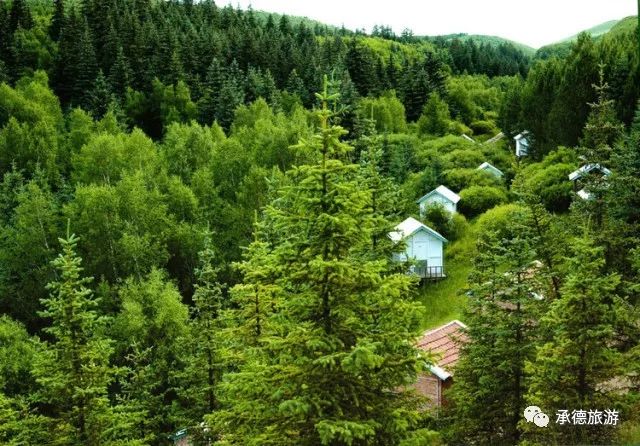 在京北第一天路看遍坝上美景,坝上草原最美天路