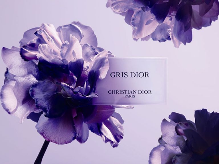 迪奥灰和卡其灰,迪奥灰和摩卡灰