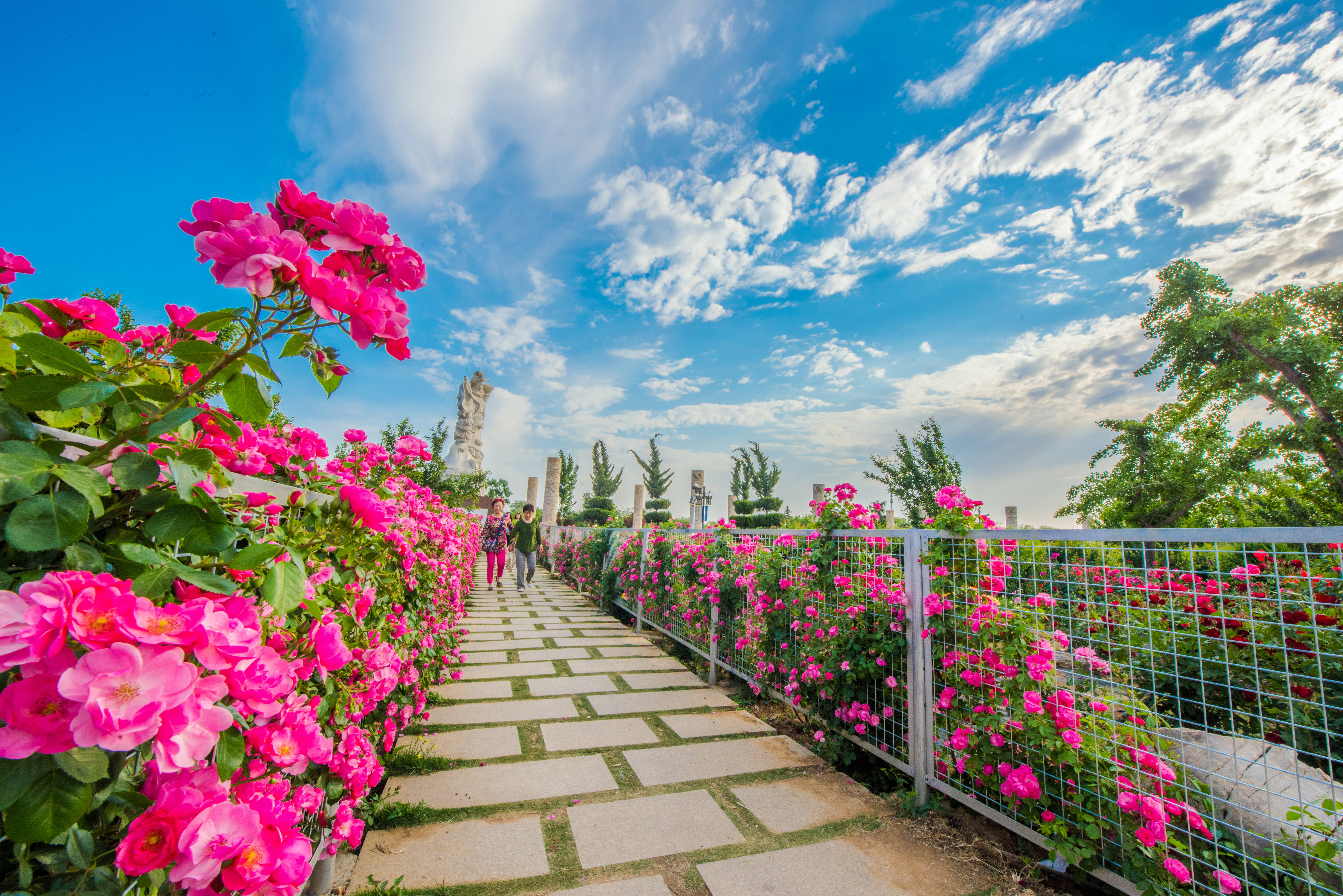 烟台日报全媒体平台,烟台日报全媒体中心