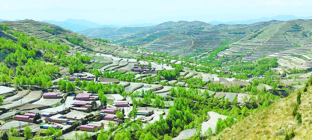 点土成金图片,点土成金的手艺