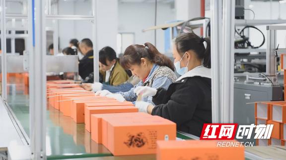 永顺产业园,永顺经济开发区芙蓉镇产业园