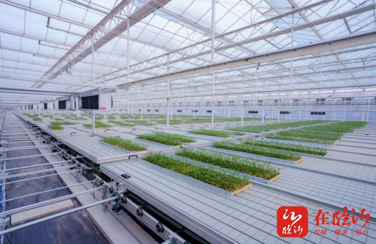 加快建设农业强市推进乡村振兴,新闻乡村振兴五年规划顺利完成