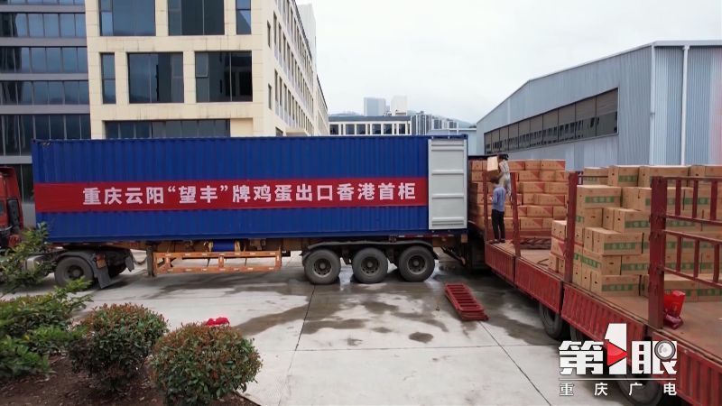 第1眼重庆广电消息,重庆广电官网