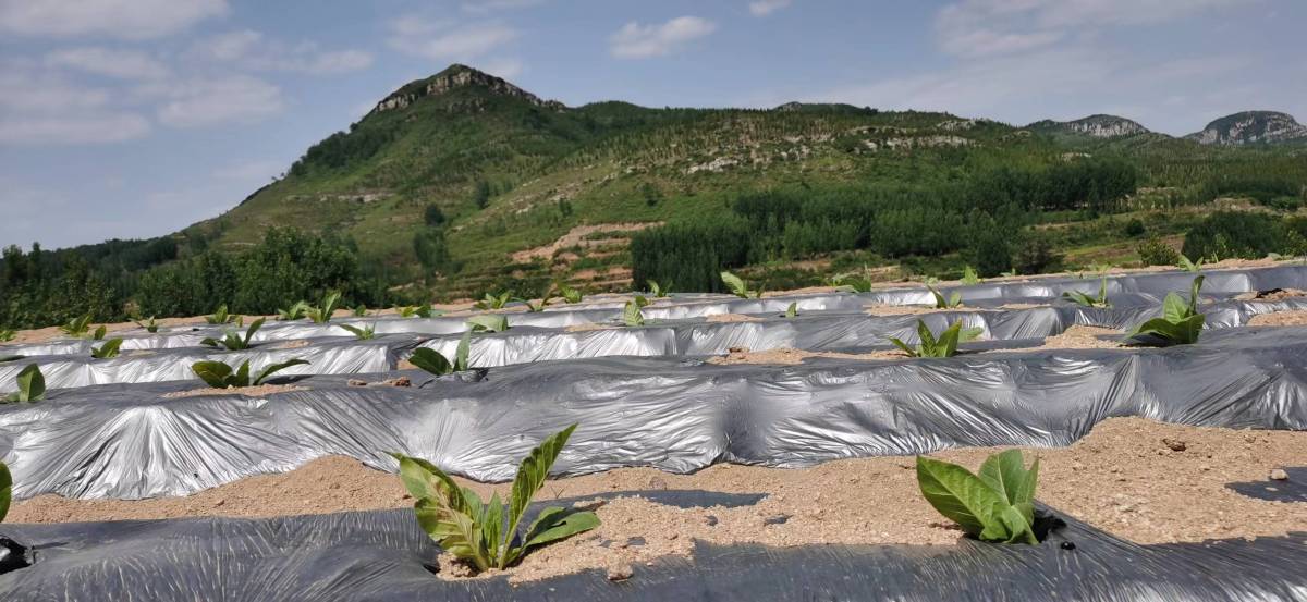 合伙人思维,合伙人创新思维