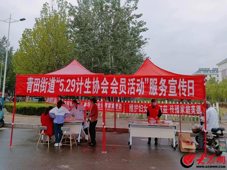 青田街道开展“5.29计生协会会员活动”服务宣传日