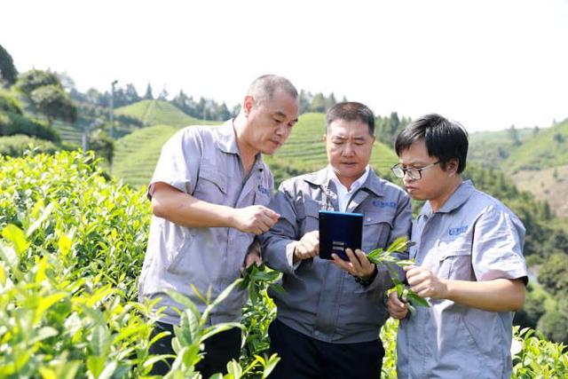 繁茂的藤蔓⑤：跟上时代，从浙商选择看马连道未来