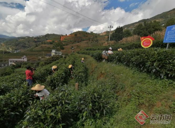 云南三大经济促高质量发展,云南三大发展战略