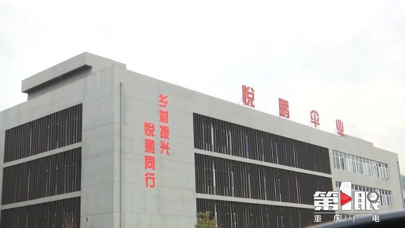 第1眼重庆广电消息,重庆广电第1眼官网