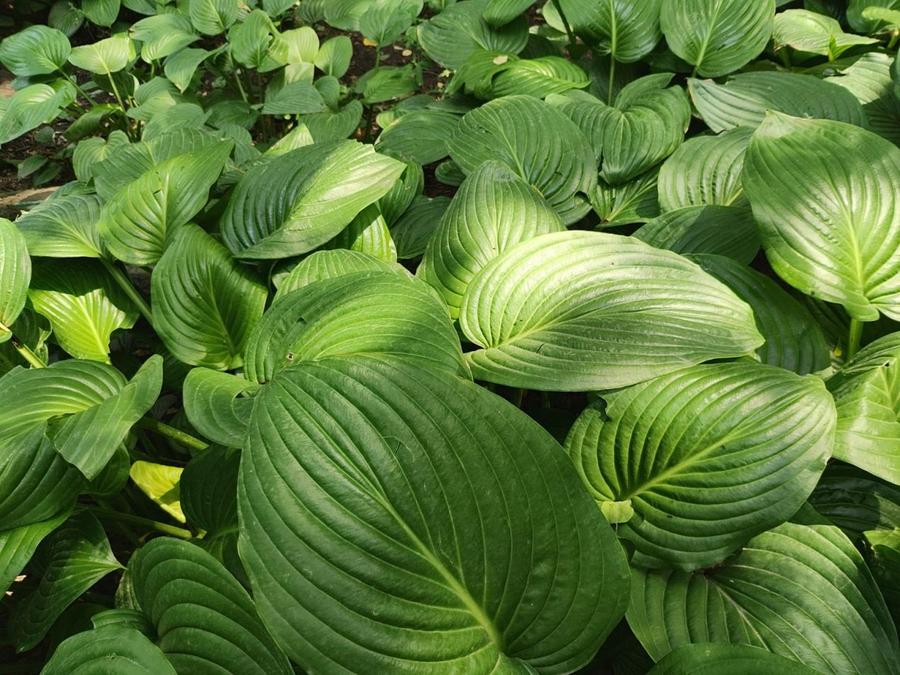 motorazr40ultra折叠屏测试,motorazr40ultra双卡测评