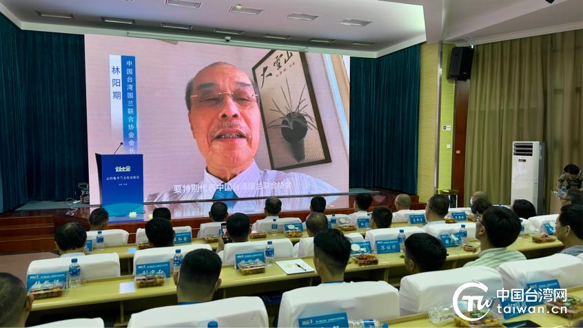 兔耳兰花展览会,云南玉溪兰花展