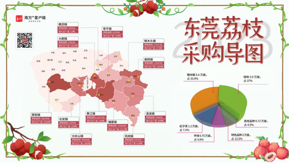 东莞市荔枝园招标信息查询,2020广东荔枝采购导图