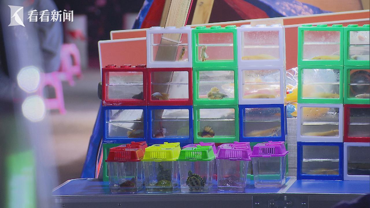 点亮夜经济（四）：夜间美食，如何打好这张牌？