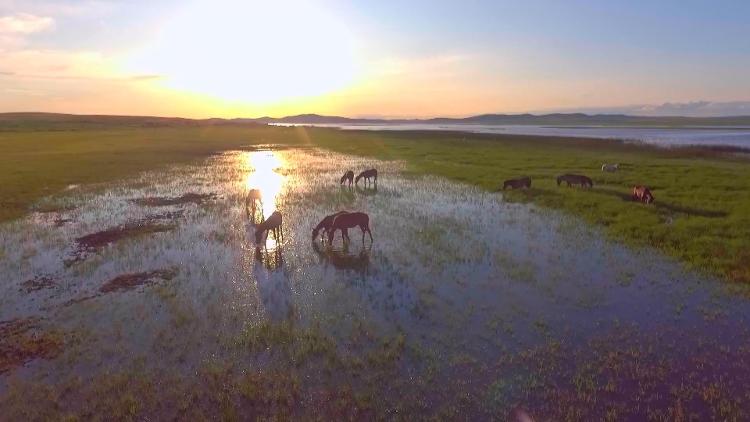 要闻内蒙古,瞰中国内蒙古多彩金秋