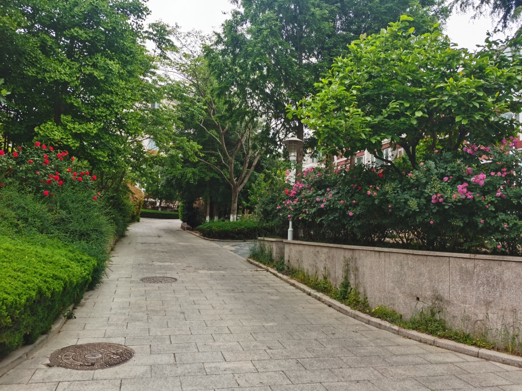 问诊岛城物业纠纷丨一年可结余四五十万，十余年公共收益去了哪？小区“钱袋子”啥时晒出“明白账”