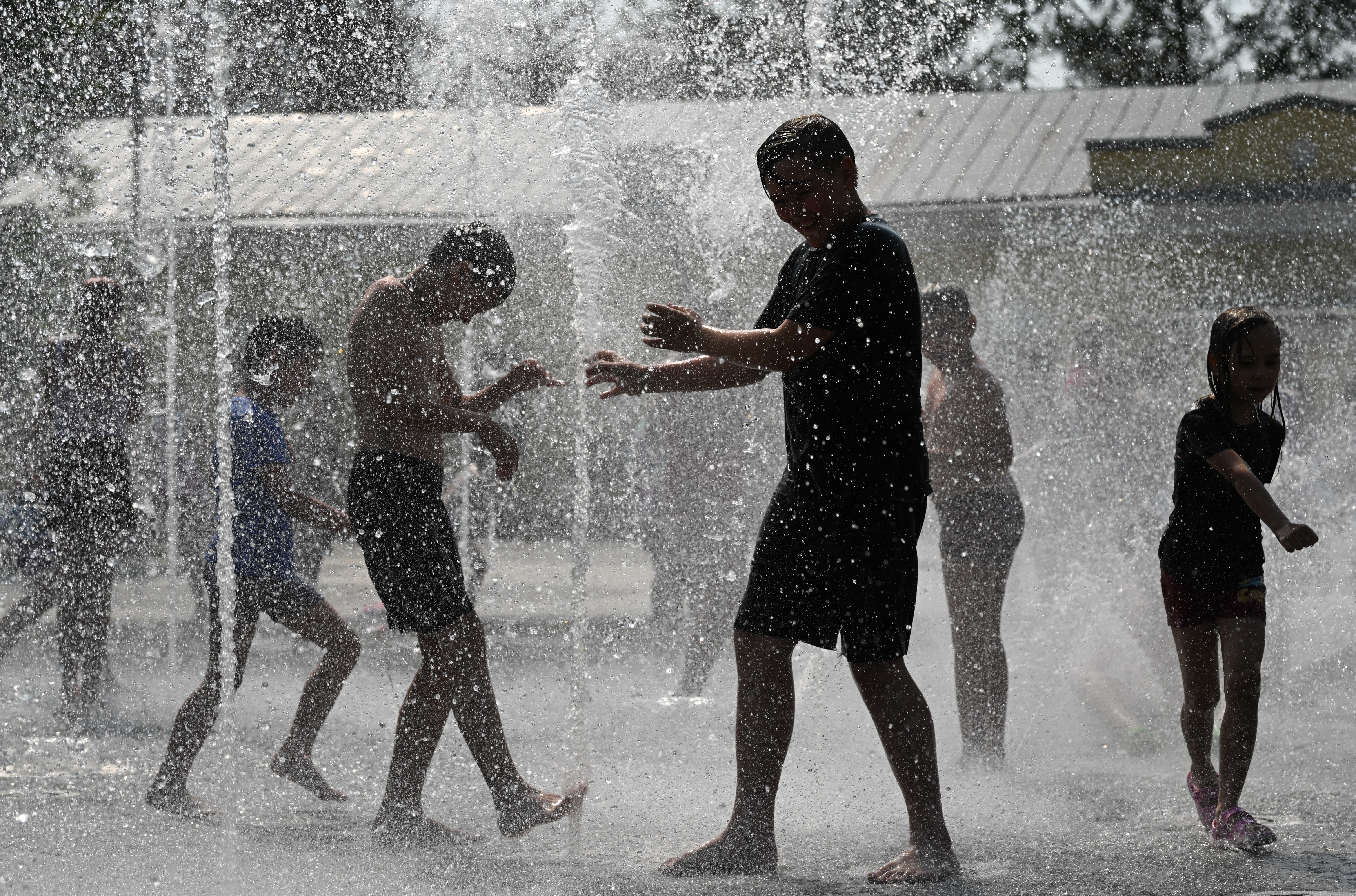 （外代二线）新西伯利亚的夏天