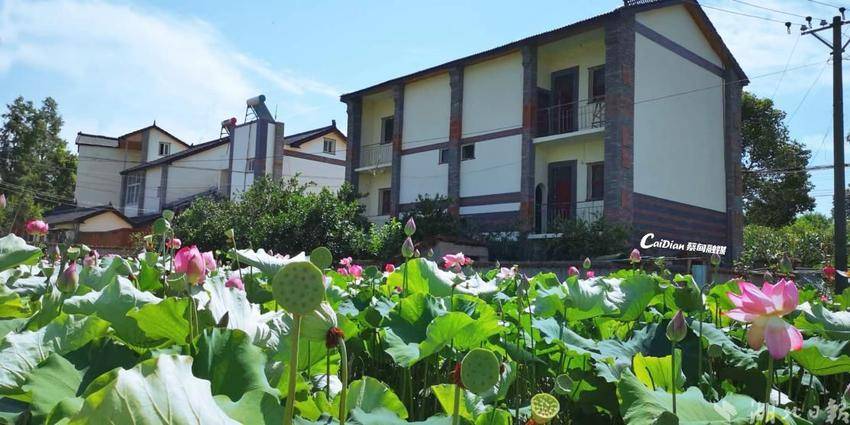 蔡甸即将入选的村,蔡甸区十强镇