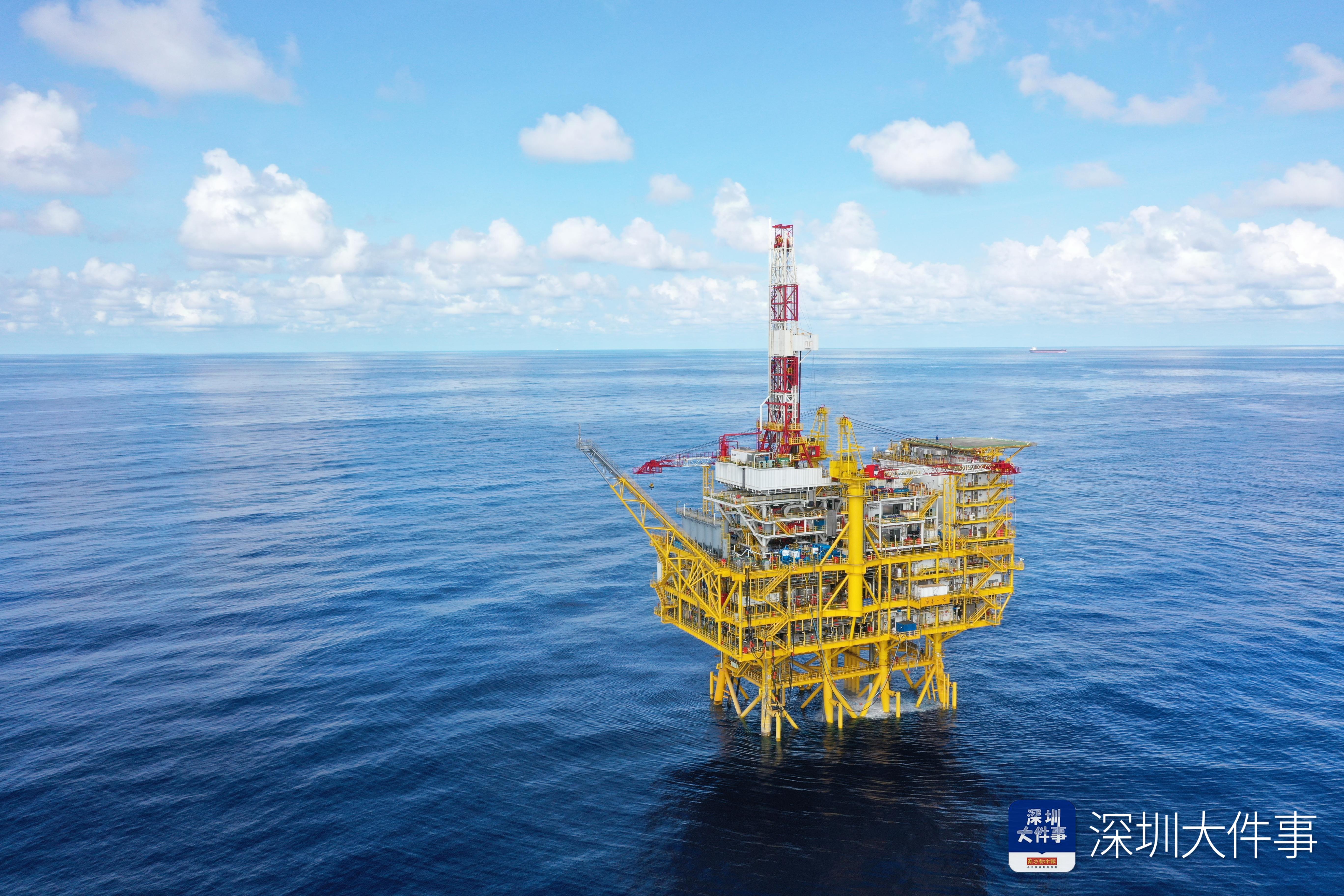 世界海洋日海豚,世界海洋日海豚守护