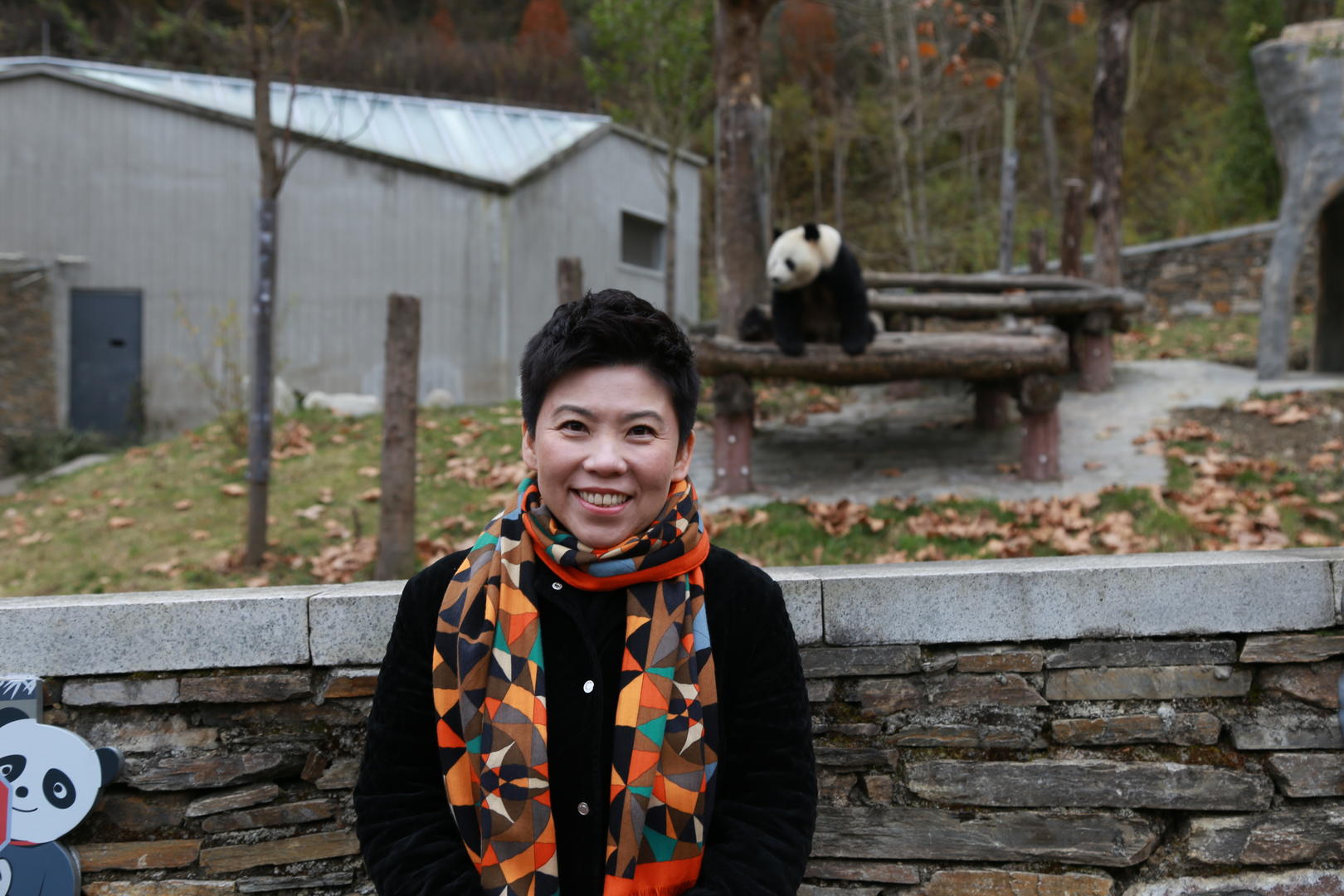 邓亚萍的奥运金牌,邓亚萍谈成都大运会