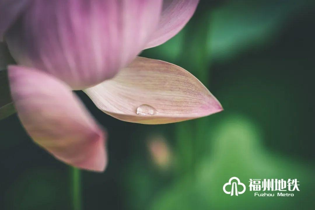 福州地铁4号线花海公园站出入口,福州琴亭湖公园地铁