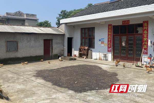 桃源村房子值得投资吗,农村小庭院建设有什么收入