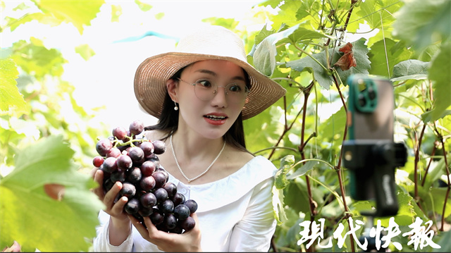 乡村直播间丨“葡萄西施”的升级之路:从瞎聊到每场成交几百单