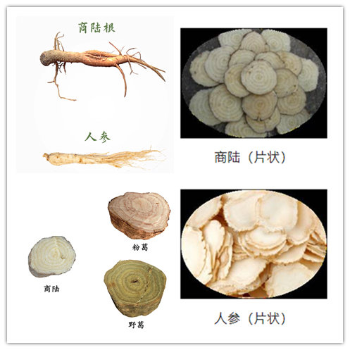 儿童吃葡萄的危险,葡萄有毒吗小孩能吃吗
