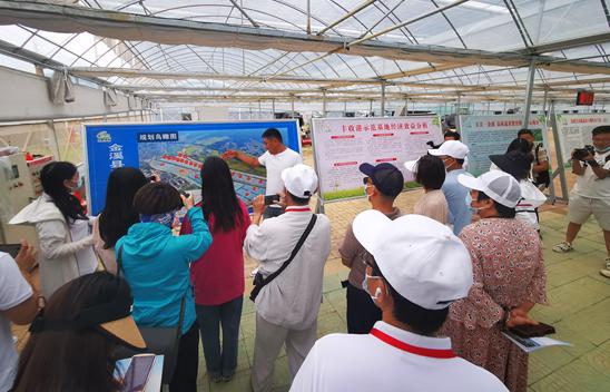 金溪：荒山变身“金山”种出“幸福菜”开出“致富花”