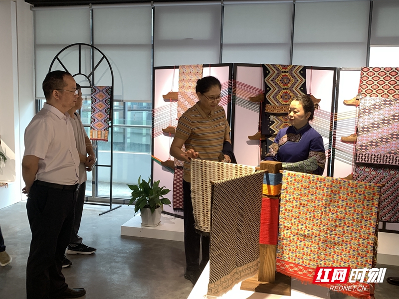 河北省科协一行来张家界市调研“科普研学试点城市”建设工作