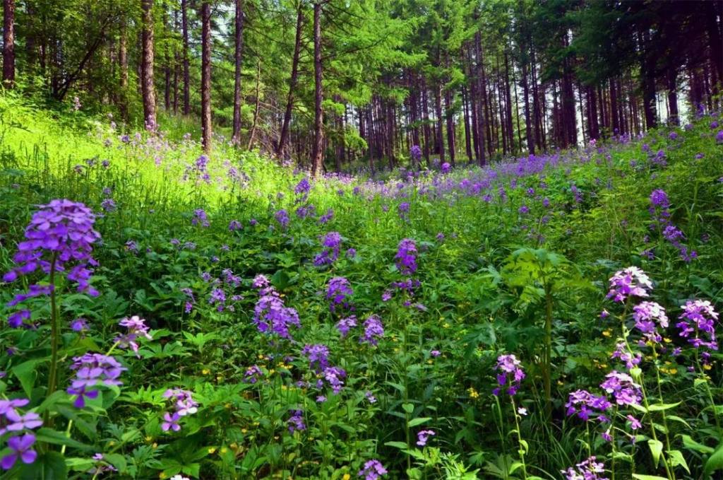 周末到河北畅游大美燕赵,周末走进河北