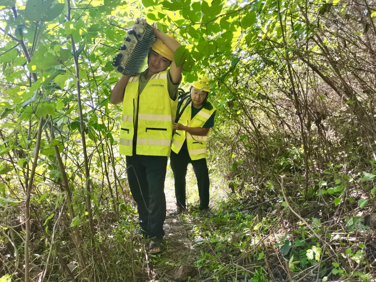 邂逅仲夏,诗韵“移”夏