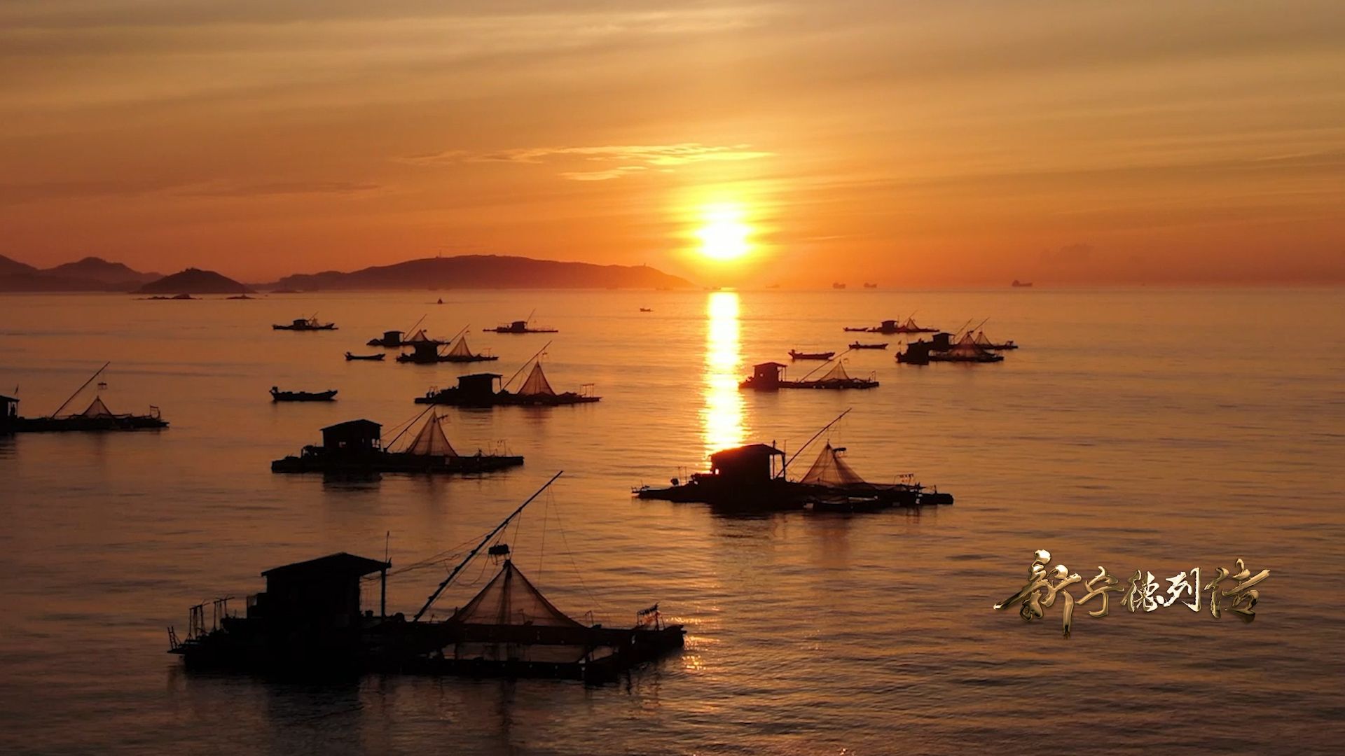 新宁德列传丨“大黄鱼之父”刘家富访谈录：国鱼重生（下）