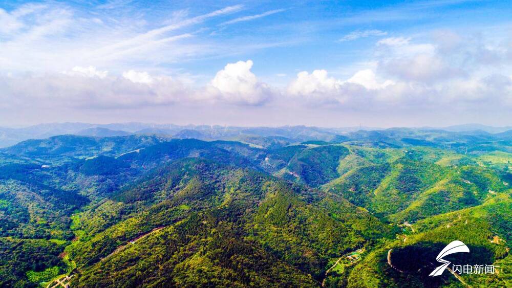 焦桐花开——山东原山艰苦创业教育基地扛起生态文明传播的时代担当