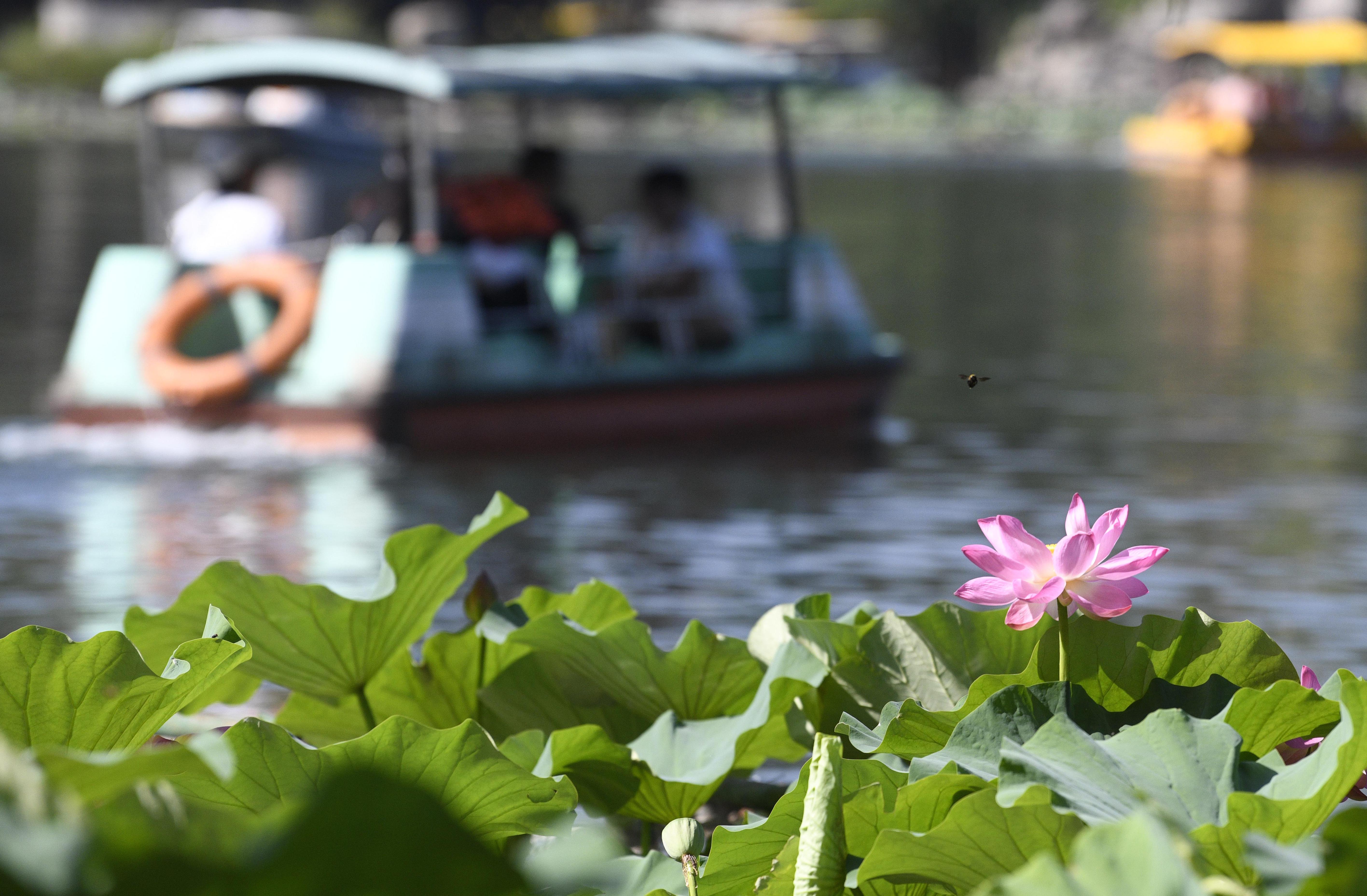 防中暑宝典,消暑降温的注意事项