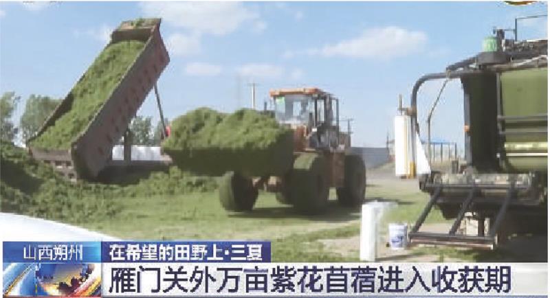 阳城县河道治理工程,阳城县后河巷河道治理