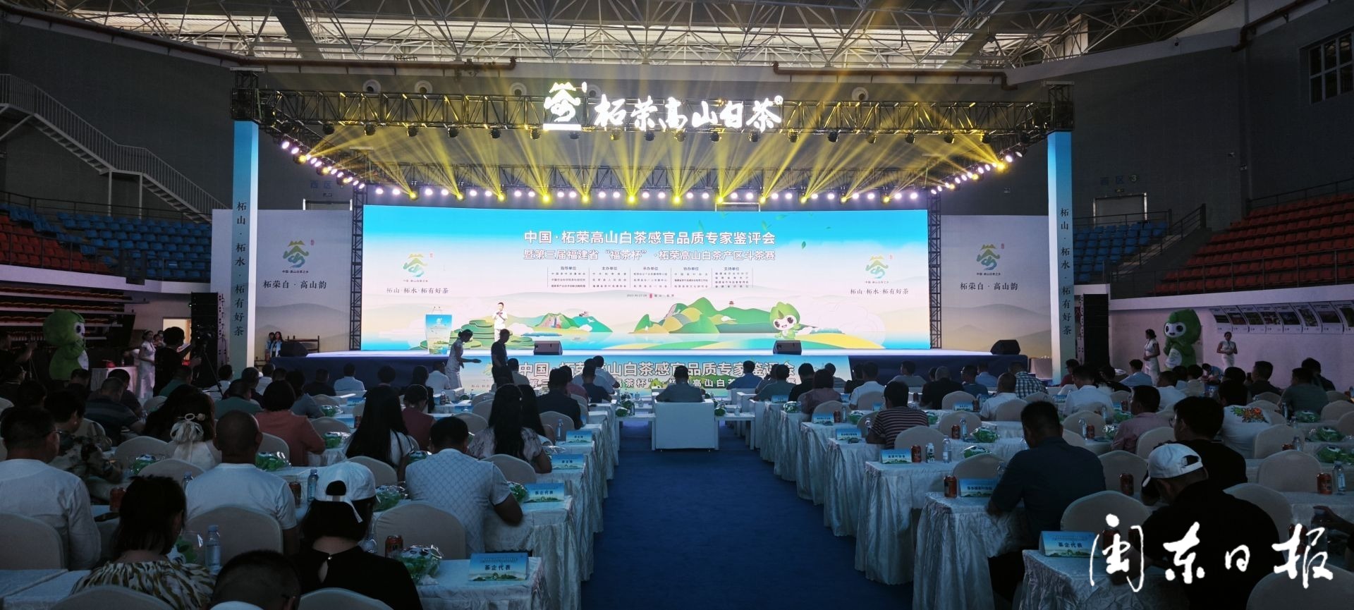 柘荣高山白茶获茶王,今年白茶茶王是柘荣白茶吗